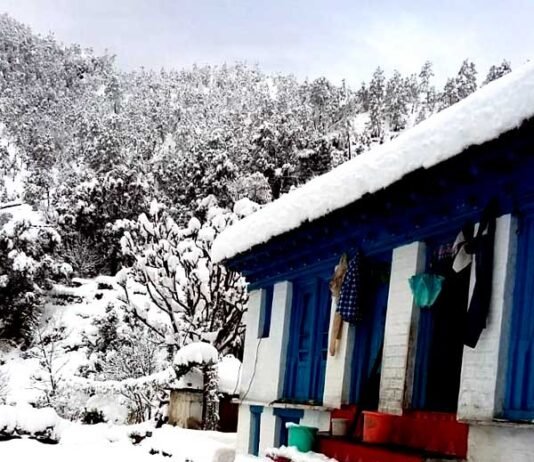उत्तराखंड में भारी बर्फ़बारी का अलर्ट: कई जिलों में कल बंद रहेंगे सभी स्कूल pauri--snowfall