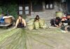 उत्तराखंड में रोजगार की अपार संभावनाएं है रिंगाल व बांस में baans-rigaal