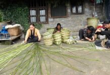 उत्तराखंड में रोजगार की अपार संभावनाएं है रिंगाल व बांस में baans-rigaal