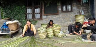 उत्तराखंड में रोजगार की अपार संभावनाएं है रिंगाल व बांस में baans-rigaal