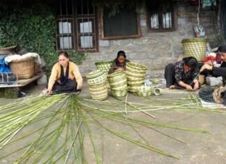 उत्तराखंड में रोजगार की अपार संभावनाएं है रिंगाल व बांस में baans-rigaal
