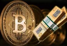 1300 करोड़ के Bitcoin फंसे, क्रिप्टोकरेंसी फर्म के CEO की मौत के बाद डिजीटल करेंसी हुई फ्रीज bitcoin cripto currency