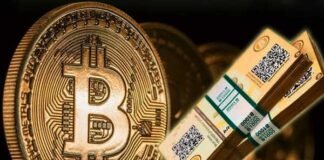 1300 करोड़ के Bitcoin फंसे, क्रिप्टोकरेंसी फर्म के CEO की मौत के बाद डिजीटल करेंसी हुई फ्रीज bitcoin cripto currency