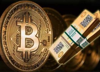 1300 करोड़ के Bitcoin फंसे, क्रिप्टोकरेंसी फर्म के CEO की मौत के बाद डिजीटल करेंसी हुई फ्रीज bitcoin cripto currency