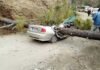 उत्तराखंड: चलती कार के ऊपर गिरा पेड़, दो लोगों की दर्दनाक मौत car-accident-champavat