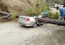 उत्तराखंड: चलती कार के ऊपर गिरा पेड़, दो लोगों की दर्दनाक मौत car-accident-champavat