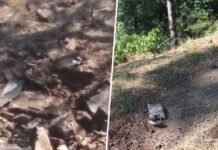 पाक के लड़ाकू विमान ने कश्मीर में घुसकर गिराए बम, भारत ने मार गिराया पाक का F-16 विमान pakistan-bomb-blast-in-kash