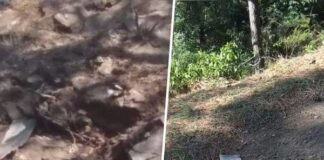 पाक के लड़ाकू विमान ने कश्मीर में घुसकर गिराए बम, भारत ने मार गिराया पाक का F-16 विमान pakistan-bomb-blast-in-kash
