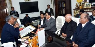 उत्तराखण्ड में पिरूल से 150 मेगावाट बिजली उत्पादन का लक्ष्य: सीएम रावत pirul