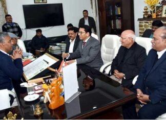 उत्तराखण्ड में पिरूल से 150 मेगावाट बिजली उत्पादन का लक्ष्य: सीएम रावत pirul