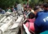 उत्तराखंड में बारात के वाहन सहित तीन अलग-अलग सड़क हादसों में 6 की मौत road-accident-gopeshwar