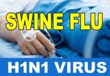 उत्तराखंड में स्वाइन फ्लू से एक और मौत, अब तक इस बीमारी से 17 की जा चुकी है जान swine-flu-hini-virus