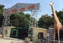 ग्रेटर नोएडा के सिटी पार्क में तीन दिवसीय पुष्प प्रदर्शनी (Flower Show) city-park-greater-noida