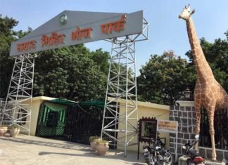 ग्रेटर नोएडा के सिटी पार्क में तीन दिवसीय पुष्प प्रदर्शनी (Flower Show) city-park-greater-noida