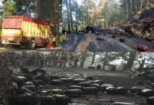 कोटद्वार-सतपुली रोड़ पर गैस सिलेंडरों से भरे ट्रक में लगी आग, सिलेंडरों के फटने से अफरा-तफरी gas cylender fire