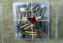 सड़क पर 40 जिंदा कारतूस मिलने से मचा हडकंप live-cartridges