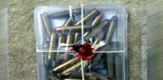 सड़क पर 40 जिंदा कारतूस मिलने से मचा हडकंप live-cartridges