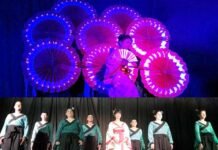 श्रीनगर में आयोजित जापानी कहानी ‘तोत्तो चान’ के नाट्य मंचन ने जीता सबका दिल totto-chan-play