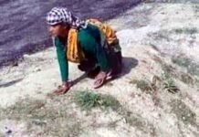 जज्बे को सलाम : पैरो से दिव्यांग बुजुर्ग महिला घुटनों के बल चलते हुए पहुंची पोलिंग बूथ divyang-voter