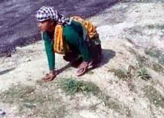 जज्बे को सलाम : पैरो से दिव्यांग बुजुर्ग महिला घुटनों के बल चलते हुए पहुंची पोलिंग बूथ divyang-voter