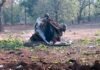 दंतेवाड़ा में बीजेपी के काफिले पर बड़ा हमला, MLA की मौत, 3 जवान शहीद dantewada-attack