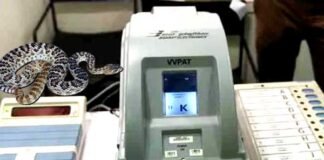 वोटिंग के दौरान VVPAT मशीन में घुस गया सांप, रोकनी पड़ी वोटिंग snake-in-vvpad-machine