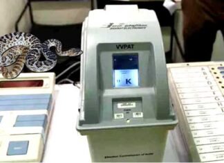 वोटिंग के दौरान VVPAT मशीन में घुस गया सांप, रोकनी पड़ी वोटिंग snake-in-vvpad-machine