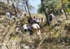 पौड़ी गढ़वाल: तेज रफ्तार कार खाई में गिरी, 4 लोगों की मौत accident-in-pauri-garhwal