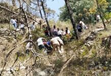 पौड़ी गढ़वाल: तेज रफ्तार कार खाई में गिरी, 4 लोगों की मौत accident-in-pauri-garhwal