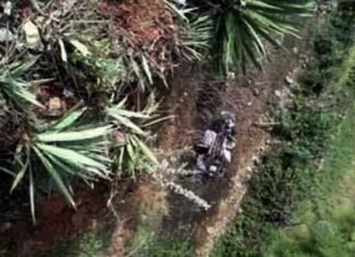 उत्तराखंड: बैगनआर कार खाई में गिरी, पत्नी की मौत, पति गंभीर रूप से घायल car-accident-in-bageshwar