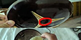 उत्तराखंड : होटल के कमरे में लगा था हिडन कैमरा, पर्यटकों की शिकायत पर मुकदमा दर्ज hidden-camera