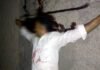 पिता को गोली मारने के बाद बेटे ने खुद को गोली मारी murder