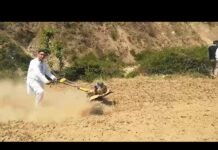 उत्तराखंड में खेती और उत्पदों को बचाने के लिए ग्रामीणों एवं बुद्धिजिवियों का संघर्ष