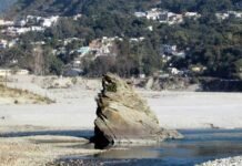 श्रीनगर में श्रीयंत्र टापू के निकट बनेगा स्मृति वन श्रीयंत्र टापू