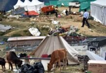 औली में शाही शादी के बाद लगा कूड़े का अंबार, अब तक निकाला गया 275 क्विंटल कूड़ा