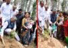 “डाली लगावा बेटी बचावा” नवजात कन्याओं के नाम पर सीएम ने लगाए पौधे, माताएं करेंगी पौधों की देखभाल cm-planted-tree-in-pauri