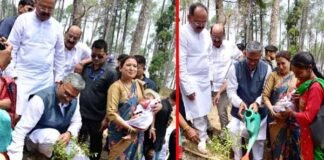 “डाली लगावा बेटी बचावा” नवजात कन्याओं के नाम पर सीएम ने लगाए पौधे, माताएं करेंगी पौधों की देखभाल cm-planted-tree-in-pauri