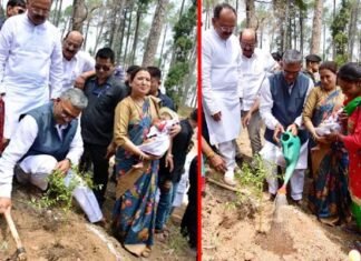 “डाली लगावा बेटी बचावा” नवजात कन्याओं के नाम पर सीएम ने लगाए पौधे, माताएं करेंगी पौधों की देखभाल cm-planted-tree-in-pauri