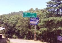 पौड़ी: घने जंगल में ले जाकर प्रेमिका को खाई में फेंक कर प्रेमी हुआ फरार adwani-forest