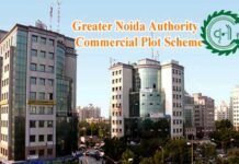 ग्रेनो प्राधिकरण जल्द ला रहा है कमर्शियल प्लॉटों की स्कीम, ऑनलाइन बोली से होगा आवंटन greater noida authority commercial plot scheme