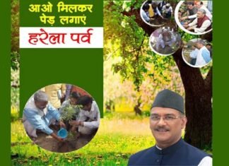 पर्यावरण संरक्षण में उत्तराखण्ड के लोक पर्व हरेला के महत्व पर मुख्यमंत्री ने लिखा ब्लॉग harela-parv