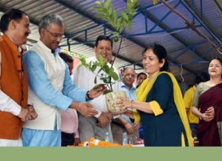 हमारा लोक पर्व हरेला देवभूमि से शुरू होकर पूरे देश में फ़ैल गया है: मुख्यमंत्री harela-parv-plantation