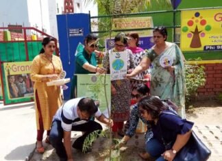 इनर व्हील क्लब ग्रेटर नोएडा ने किया वृक्षारोपण inner-wheet-club-greater-noida