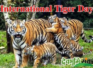 International Tiger Day: उत्तराखंड में बढ़ी बाघों की संख्या international-tiger-day