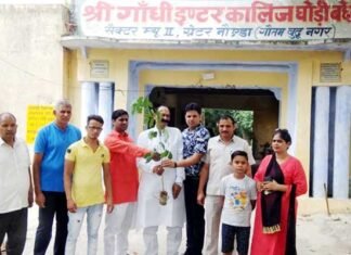 जन उन्नति फाउंडेशन टीम ने घोड़ी बछेड़ा के गाँधी इंटर कालेज में लगाए छायादार एवं फलदार पेड़ jan-unnati-foundation-greater noida