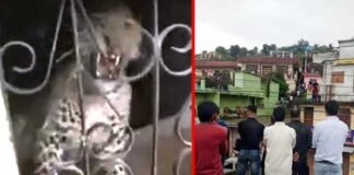 उत्तराखंड: दिनदहाड़े घर में घुसा तेंदुआ leopard-come-in-the-house