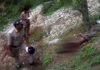 पाबौ ब्लॉक में तेंदुए ने अधेड़ व्यक्ति को बनाया शिकार, दहशत में हैं लोग leopard-killed-man