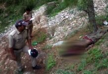 पाबौ ब्लॉक में तेंदुए ने अधेड़ व्यक्ति को बनाया शिकार, दहशत में हैं लोग leopard-killed-man