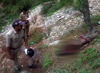 पाबौ ब्लॉक में तेंदुए ने अधेड़ व्यक्ति को बनाया शिकार, दहशत में हैं लोग leopard-killed-man