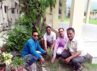 प्राथमिक शिक्षक संगठन खिर्सू द्वारा वृक्षारोपण कार्यक्रम plantation